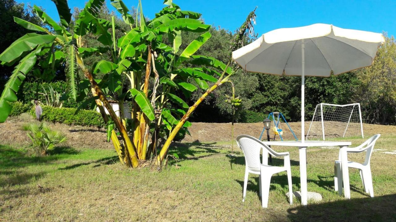 Villa Mimosa Tropea Ricadi Esterno foto