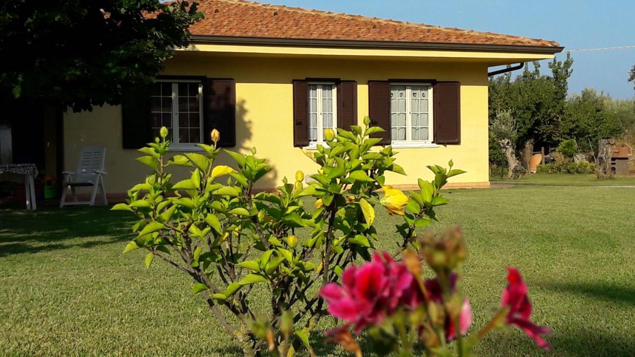 Villa Mimosa Tropea Ricadi Esterno foto