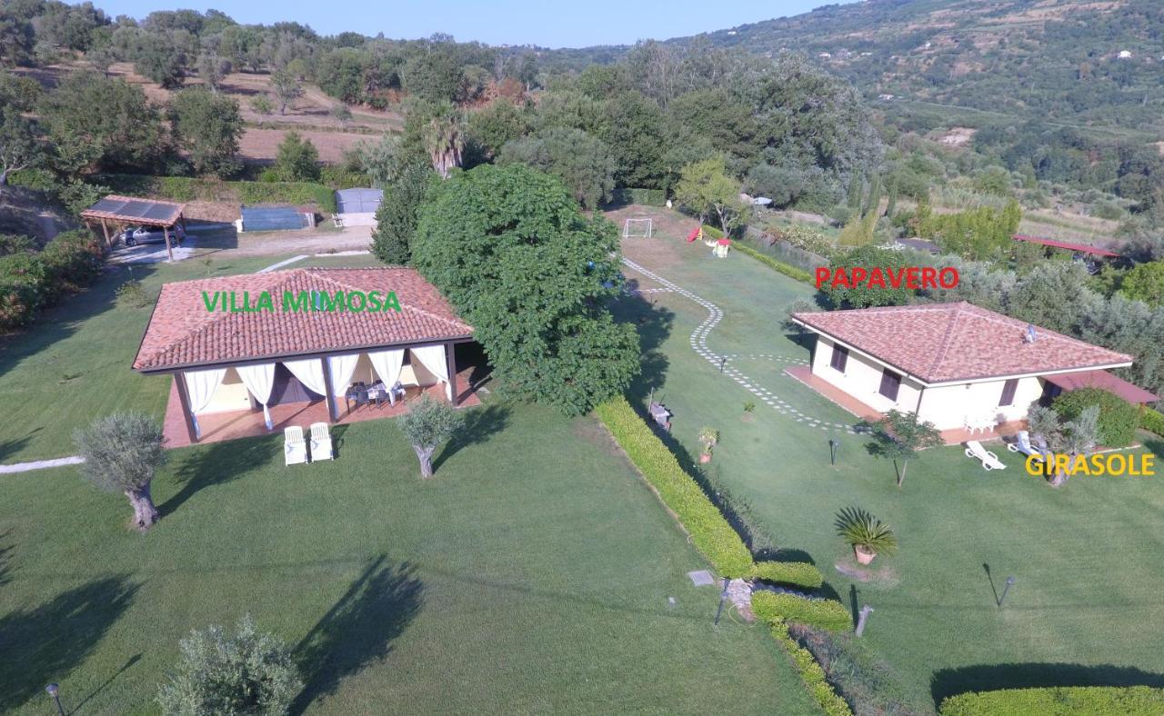 Villa Mimosa Tropea Ricadi Esterno foto