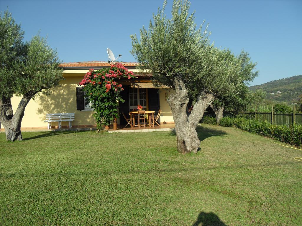 Villa Mimosa Tropea Ricadi Esterno foto